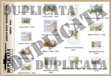 German Maps, Western Front, WW2 - 1/72 Scale