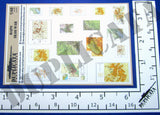 Maps - Iraq War - 1/48 Scale - Duplicata Productions