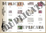 Allied Maps - WW2 - Northern France - 1/72 Scale - Duplicata Productions