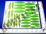Jungle Foliage #1 - 1/35 Scale (2 sheets) - Duplicata Productions