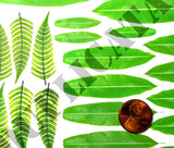 Jungle Foliage #1 - 1/35 Scale (2 sheets) - Duplicata Productions