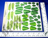Jungle Foliage #2 - 1/35 Scale (2 sheets) - Duplicata Productions
