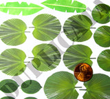 Jungle Foliage #2 - 1/35 Scale (2 sheets) - Duplicata Productions