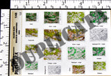 Allied Maps - Ardennes, Belgium - WW2 - 1/48 Scale