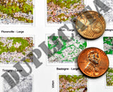 Allied Maps - Ardennes, Belgium - WW2 - 1/48 Scale
