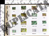 Allied Maps - Ardennes, Belgium - WW2 - 1/72 Scale