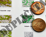 Allied Maps - Ardennes, Belgium - WW2 - 1/72 Scale