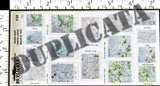 Allied Maps - Northern & Western Belgium - WW2 - 1/35 Scale