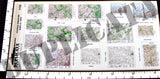 Allied Maps - Central Normandy, France #2 - WW2 - 1/35 Scale - Duplicata Productions