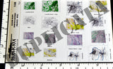 Allied Maps - WW2 - North-Eastern France - 1/48 Scale - Duplicata Productions