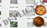 Allied Maps - WW2 - Northern France - 1/72 Scale - Duplicata Productions