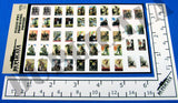 Italian WW2 Propaganda Posters - 1/72 Scale - Duplicata Productions